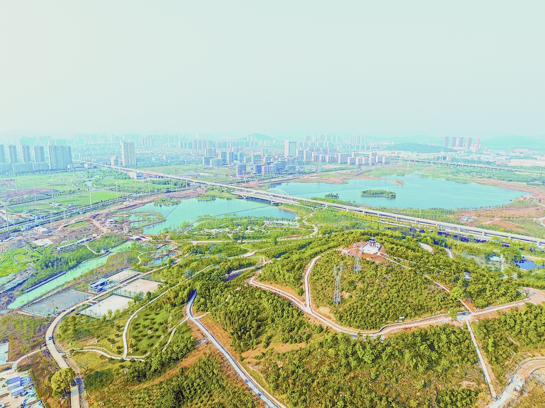 城鄉融合繪新景
