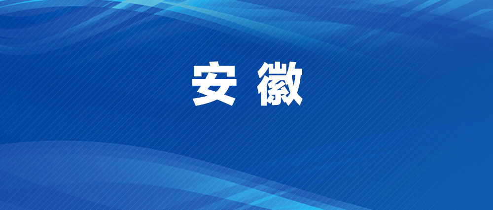 安徽持續優化民營經濟發展環境